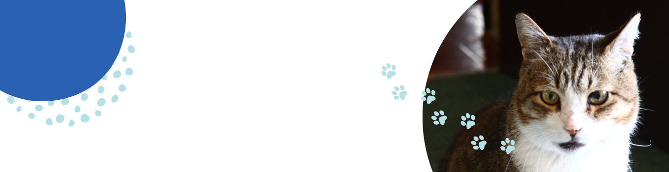 オンライン予約